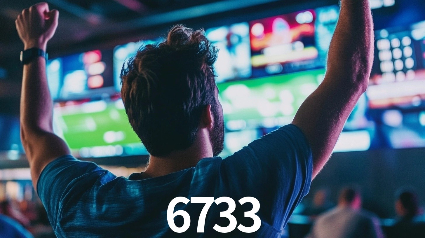 6733