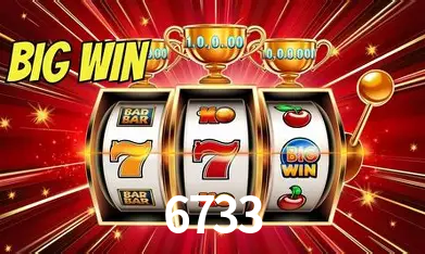 Flash Promotion 6733