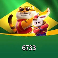 6733